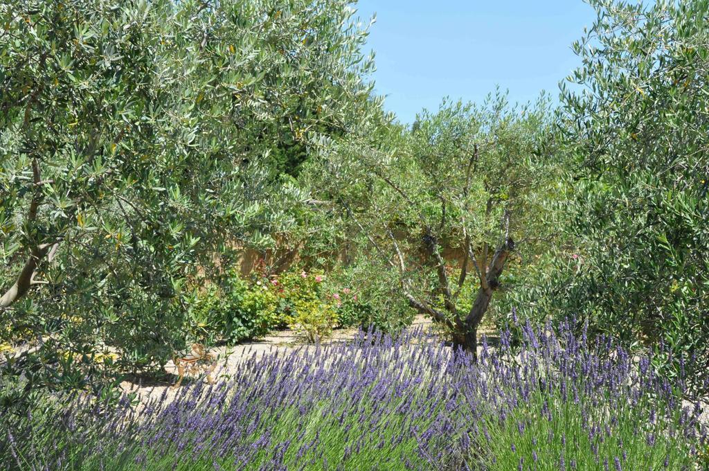 La Maison De Line Saint-Rémy-de-Provence Room photo