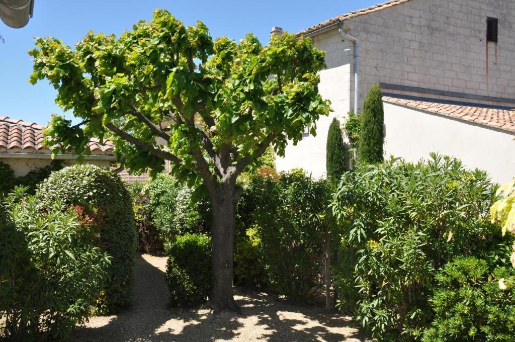 La Maison De Line Saint-Rémy-de-Provence Exterior photo