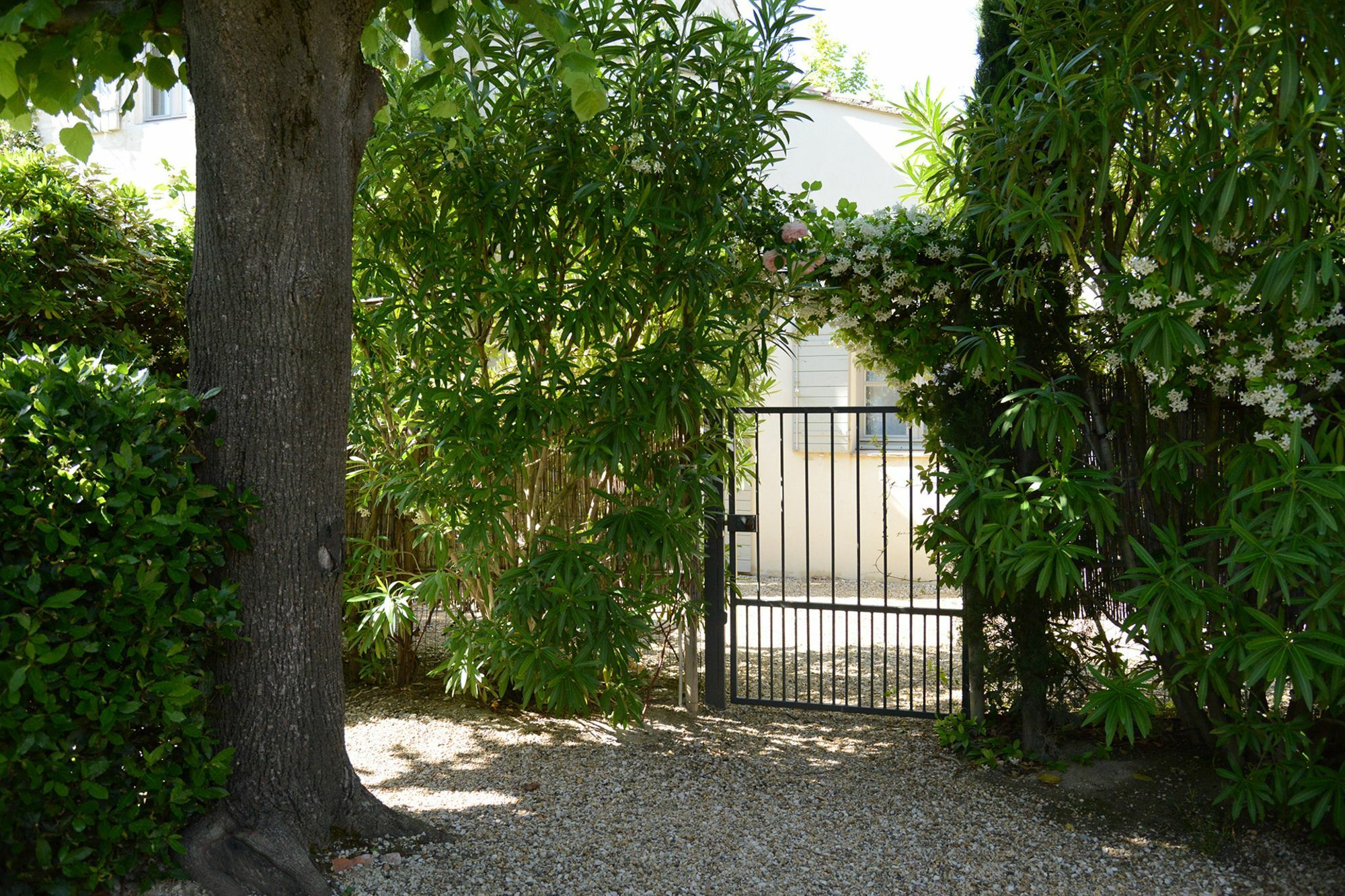 La Maison De Line Saint-Rémy-de-Provence Exterior photo